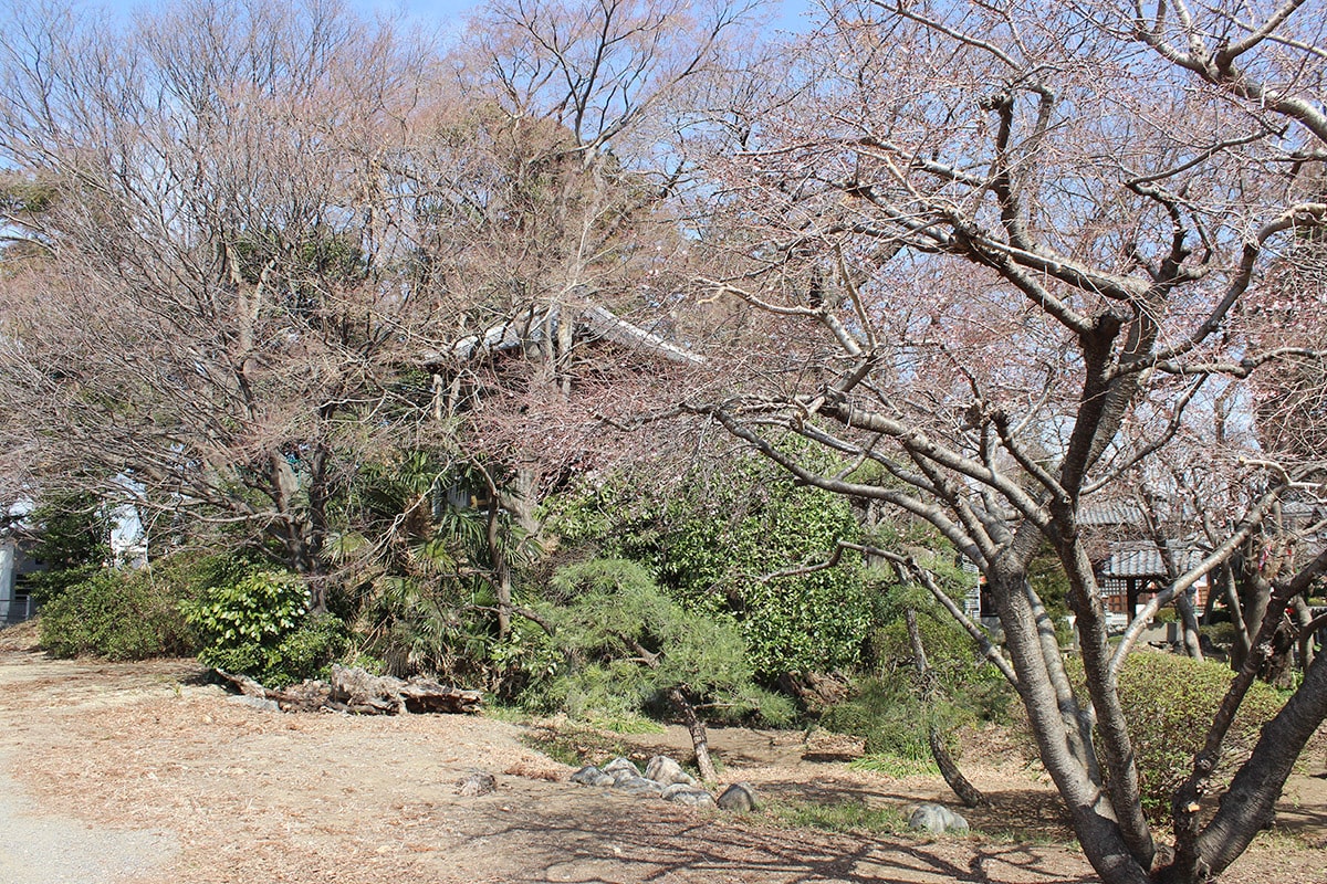 青野山 大正寺