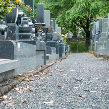 情報収集と現地見学