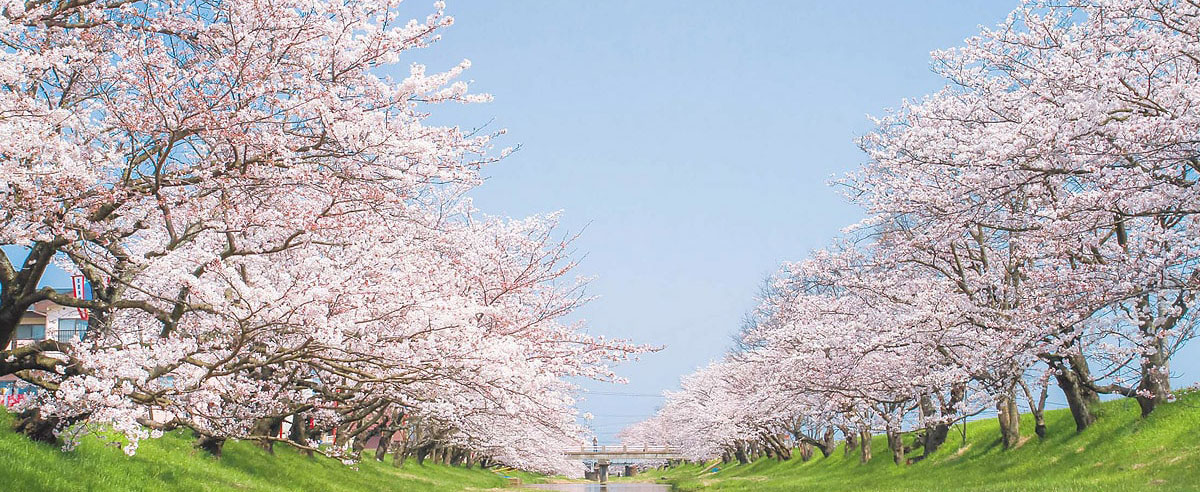 自然豊かな霊園の様子