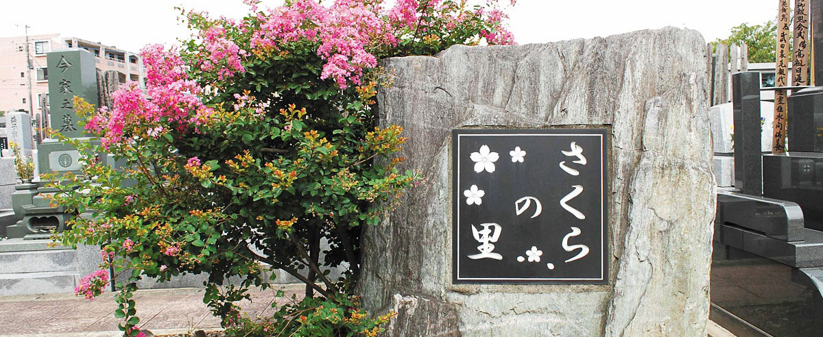 自然豊かな霊園の様子