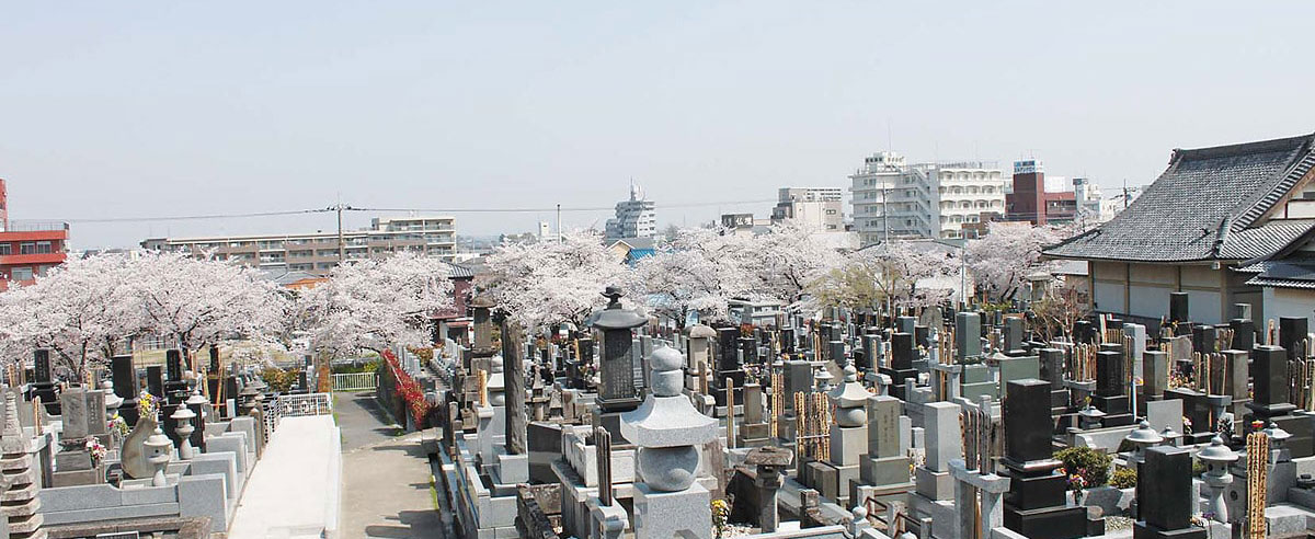 自然豊かな霊園の様子